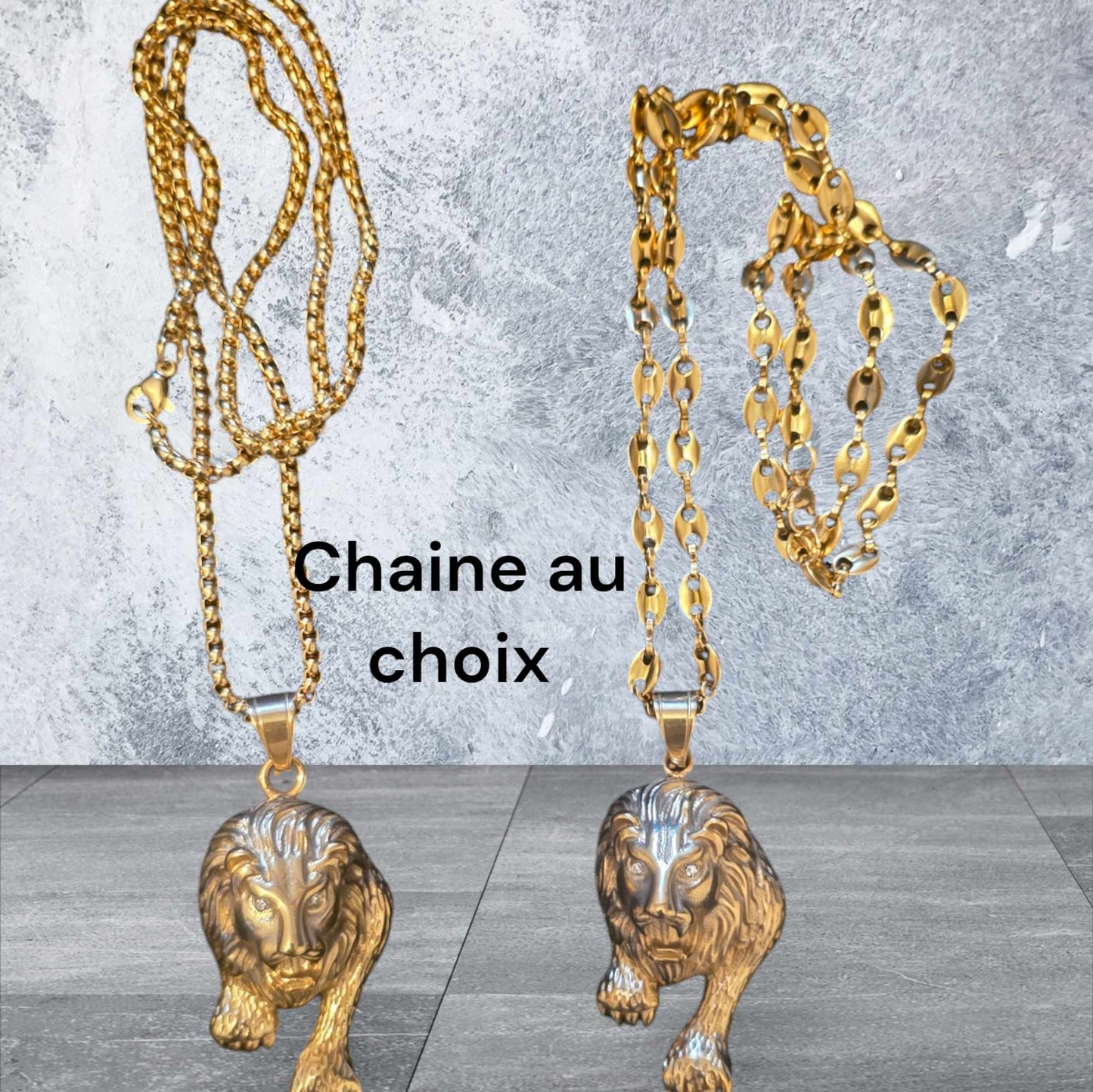 ensemble collier et lion