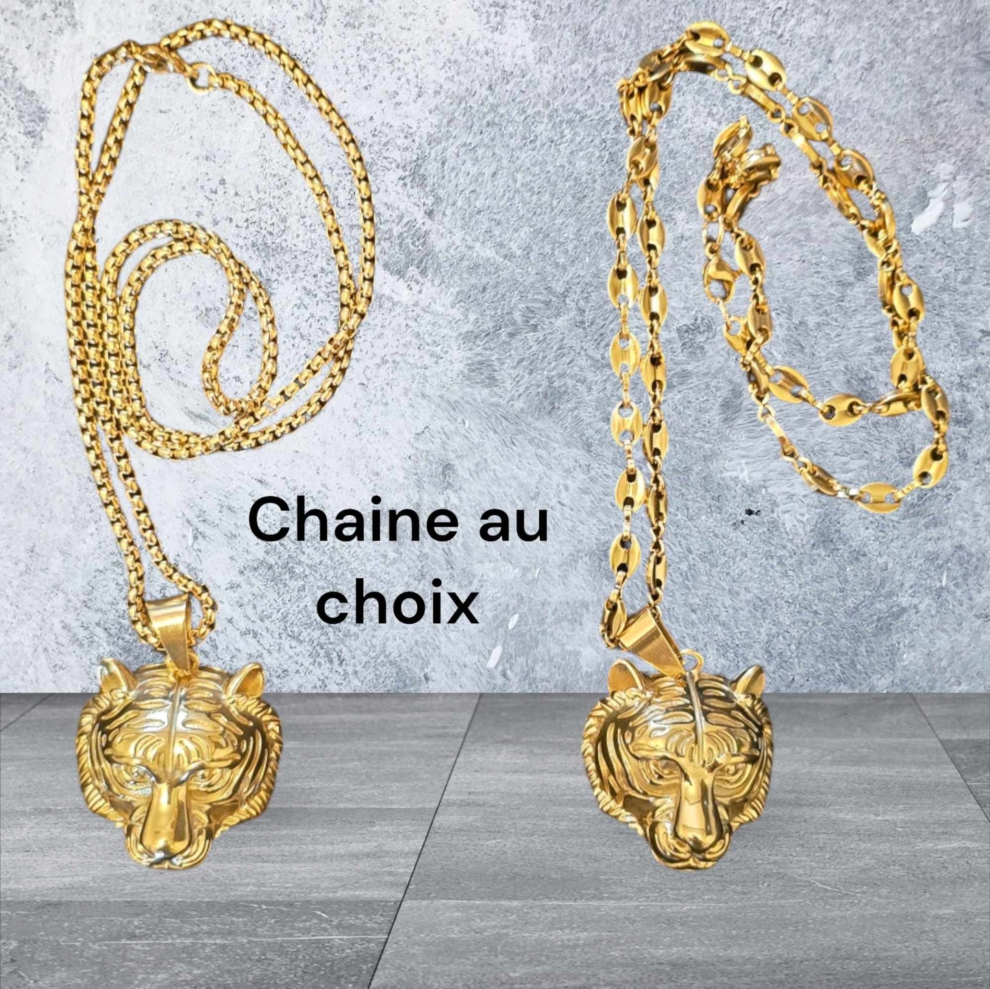 ensemble collier et  lion