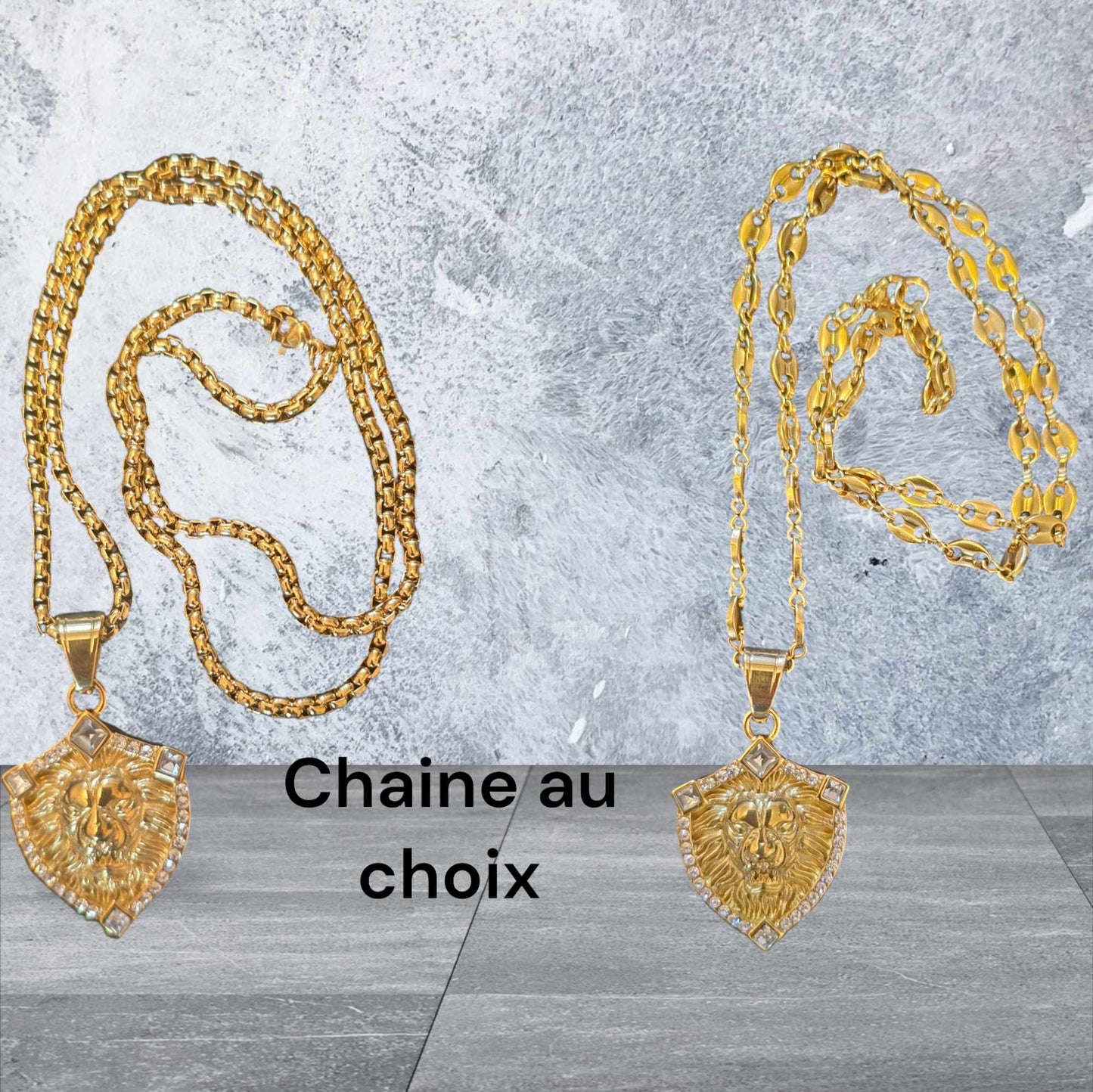 ensemble collier et pendentif lion