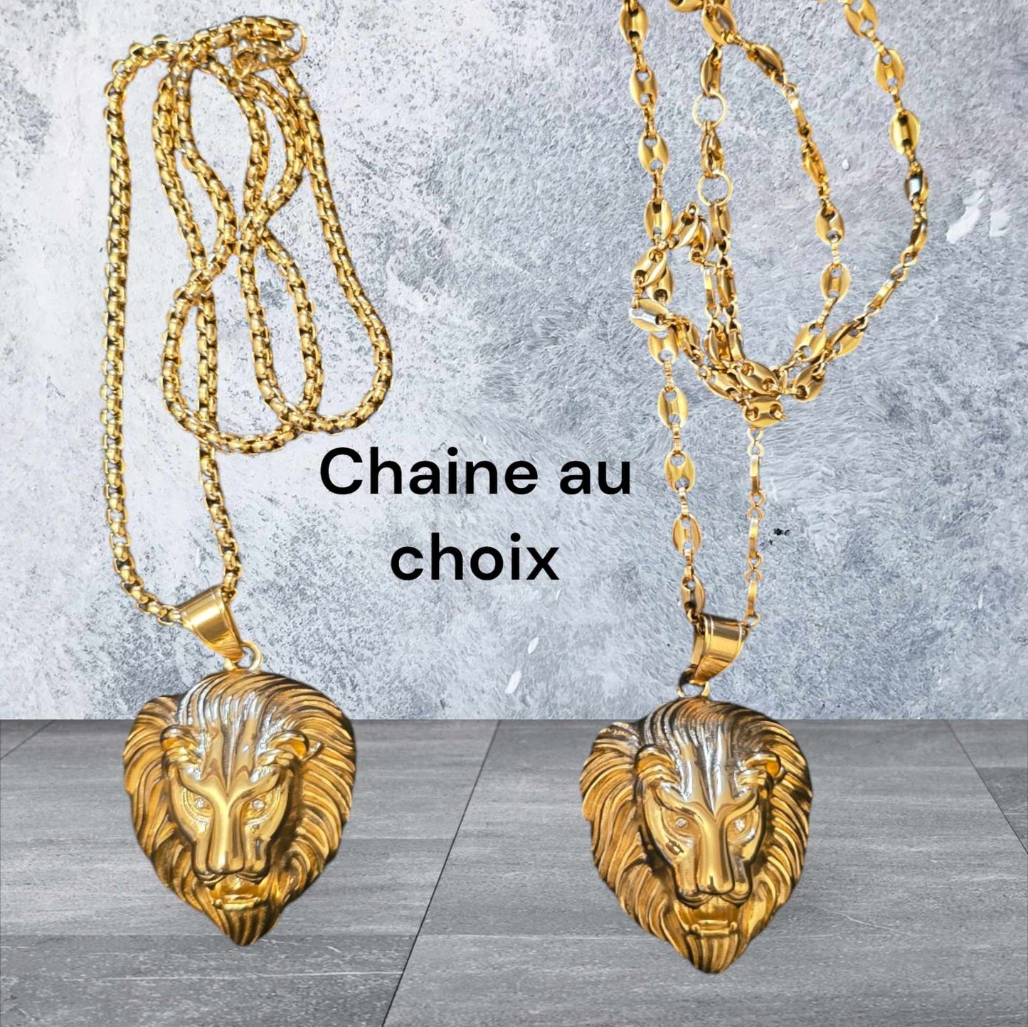 ensemble collier et lion