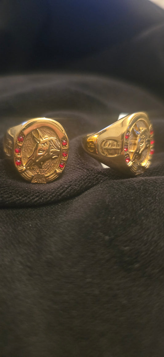 Bague fer de cheval pierre rouge