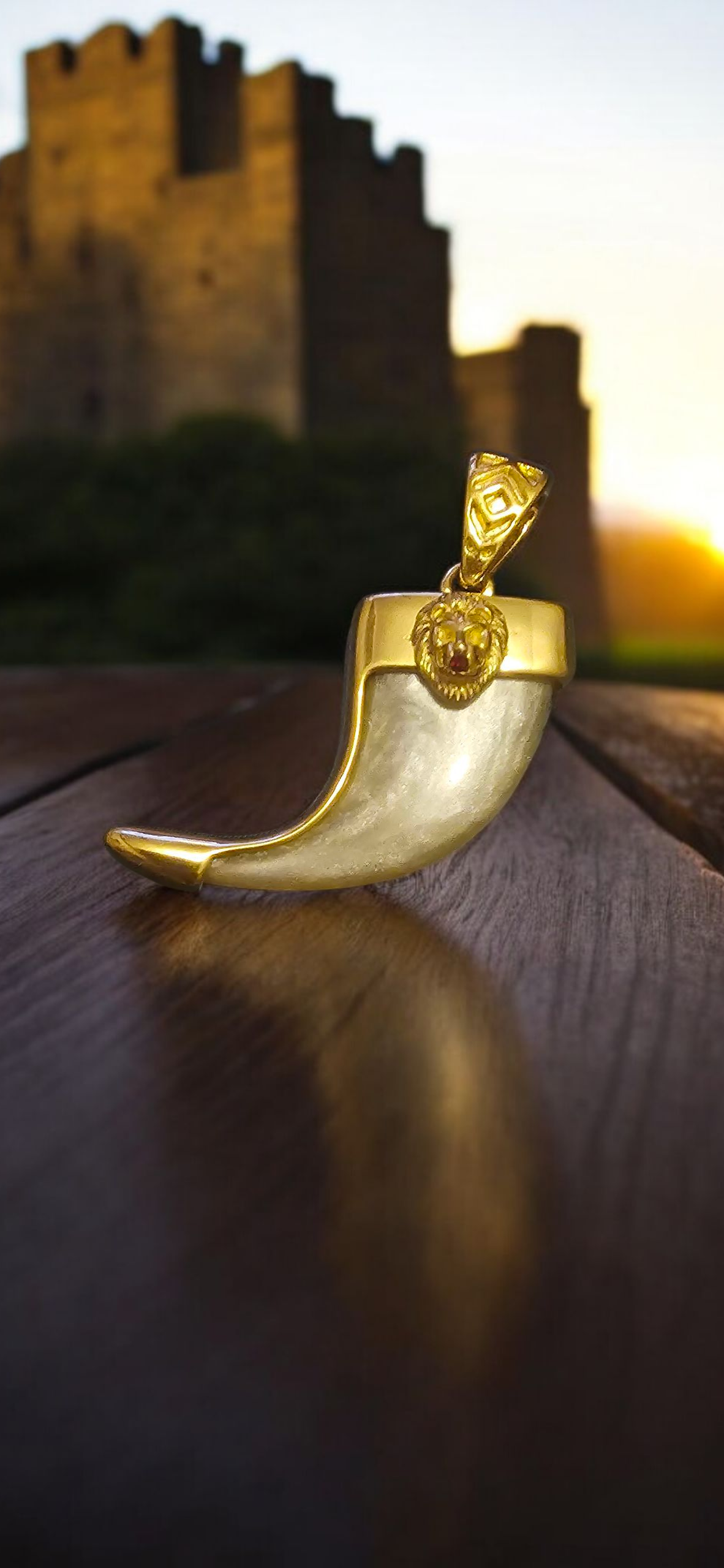 ensemble collier et pendentif griffe de lion