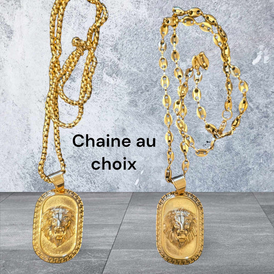 ensemble collier et  lion