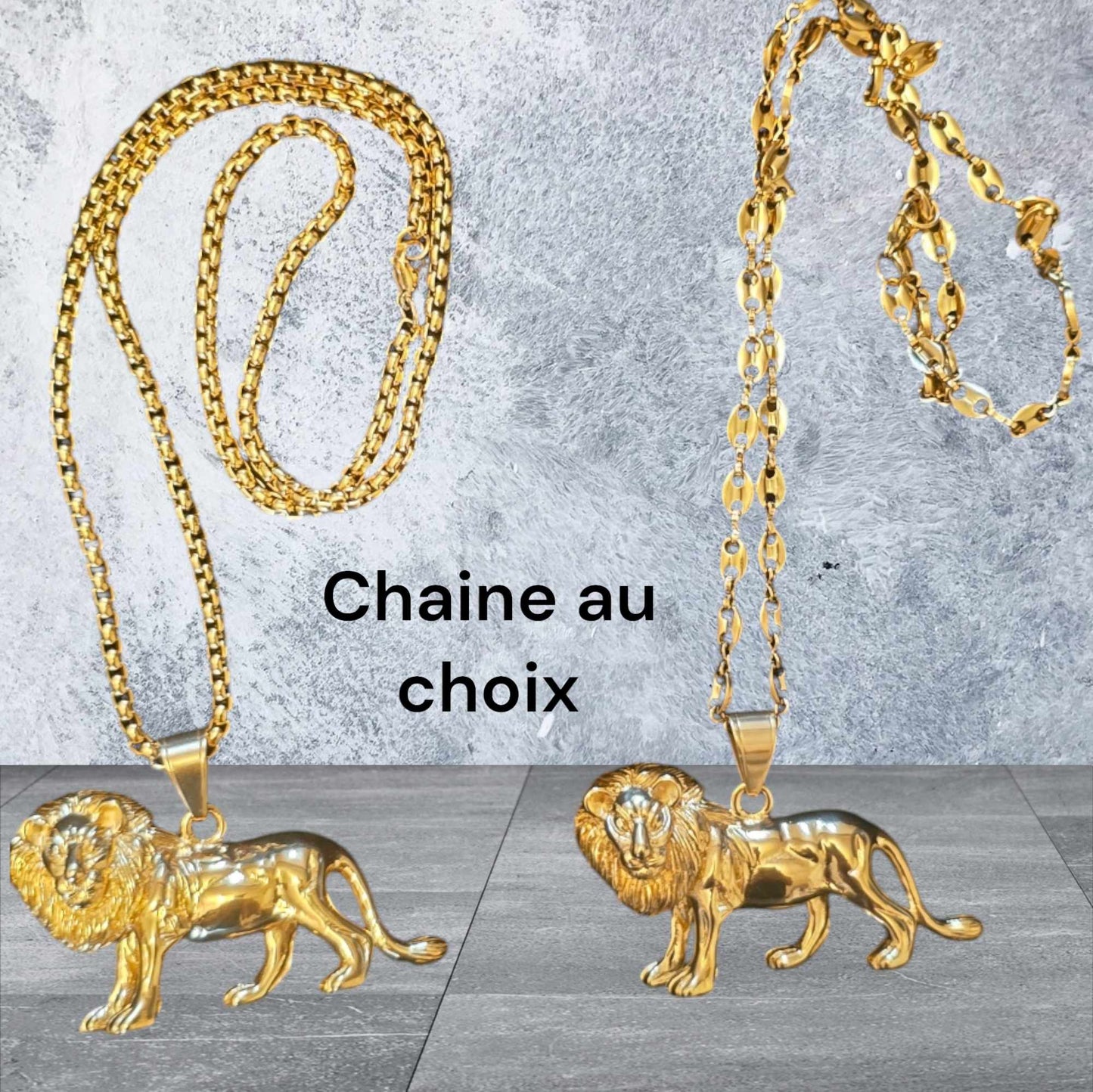 ensemble collier et  lion