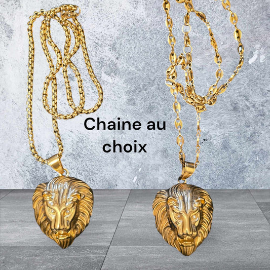 ensemble collier et  lion