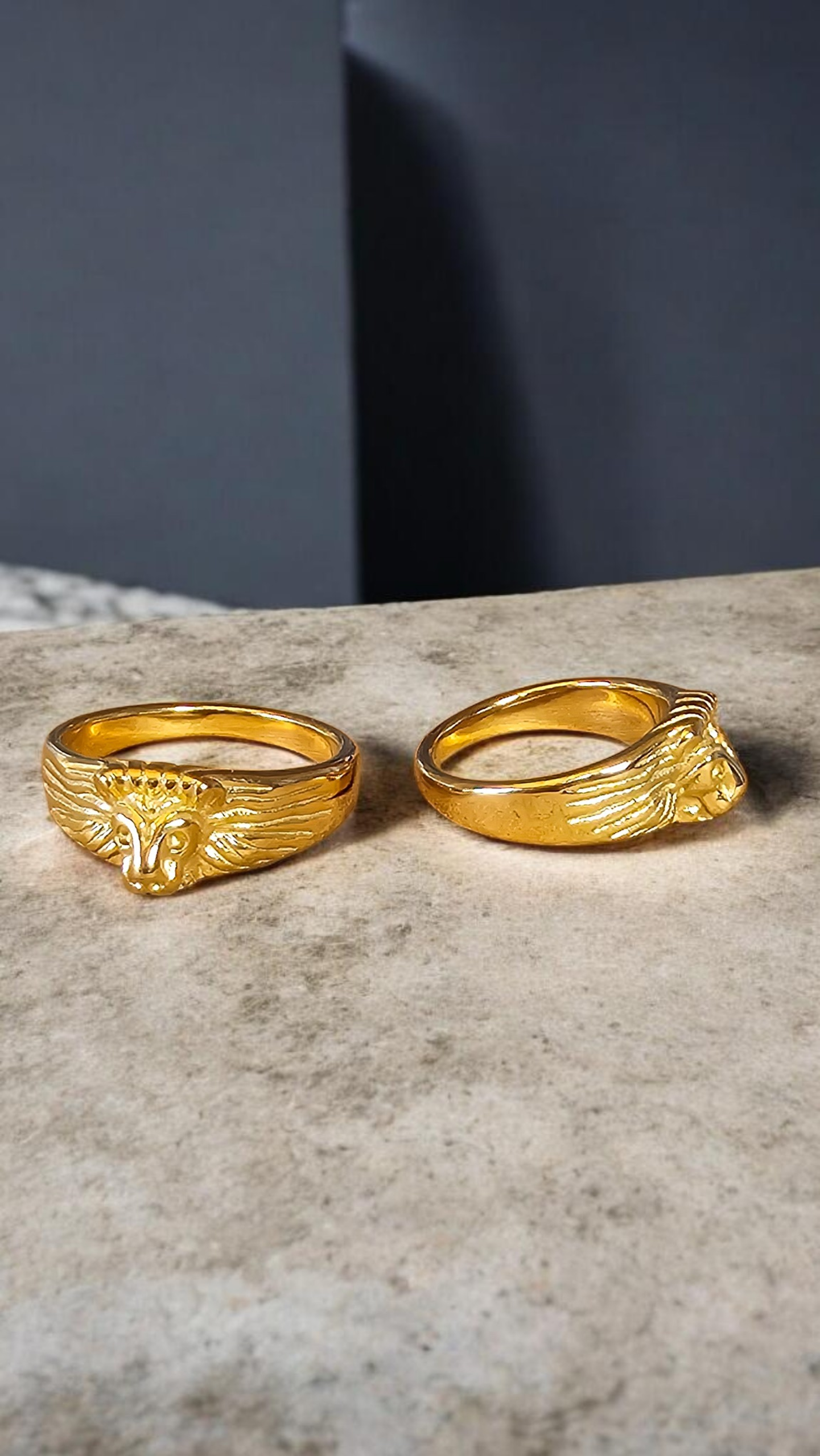 bague lion