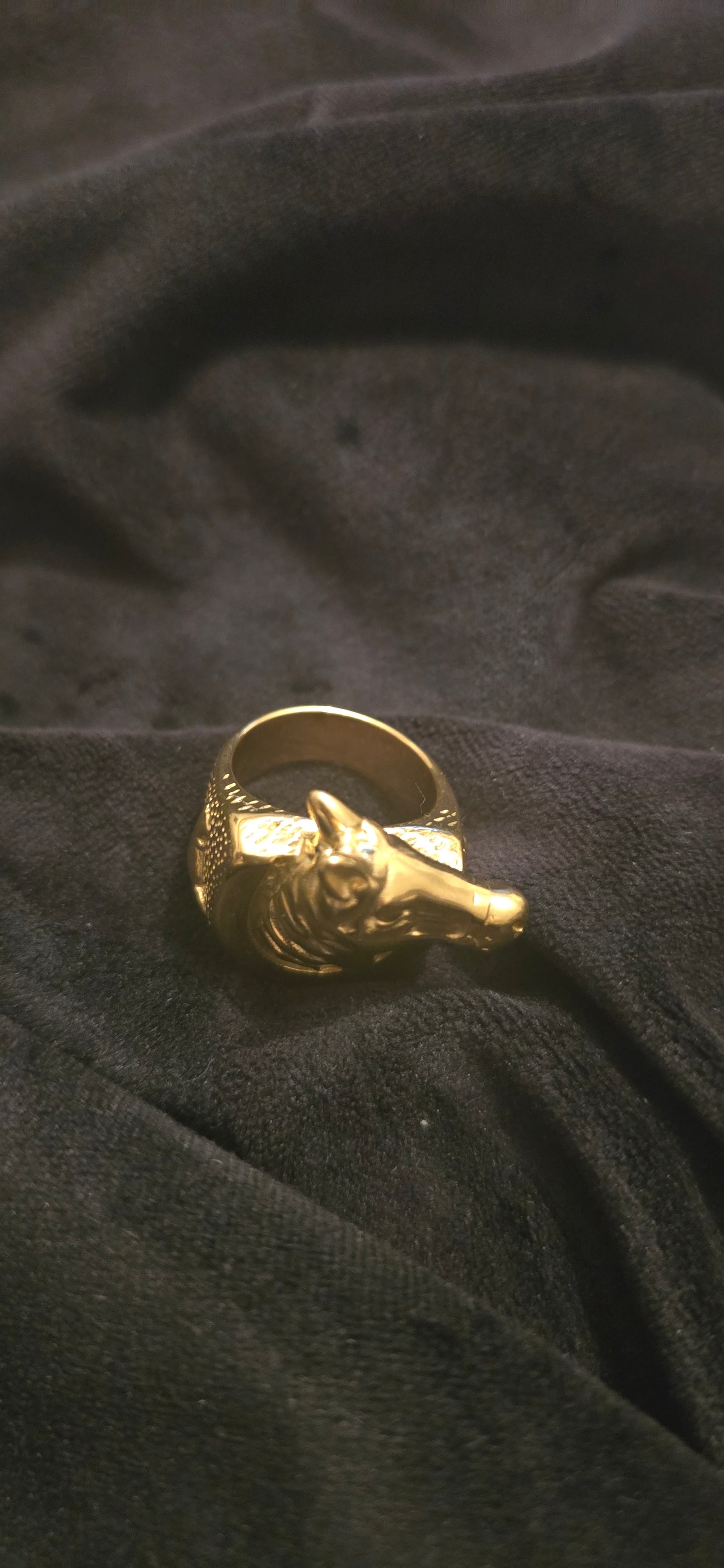 Bague fer à cheval