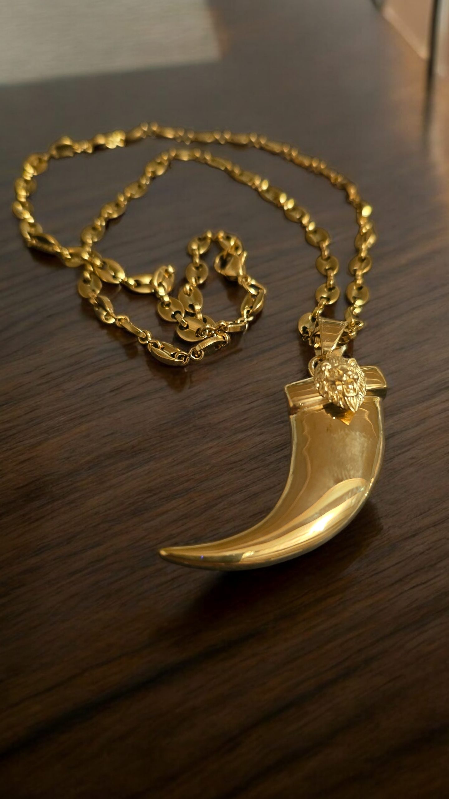 ensemble collier et  pendentif griffe de lion