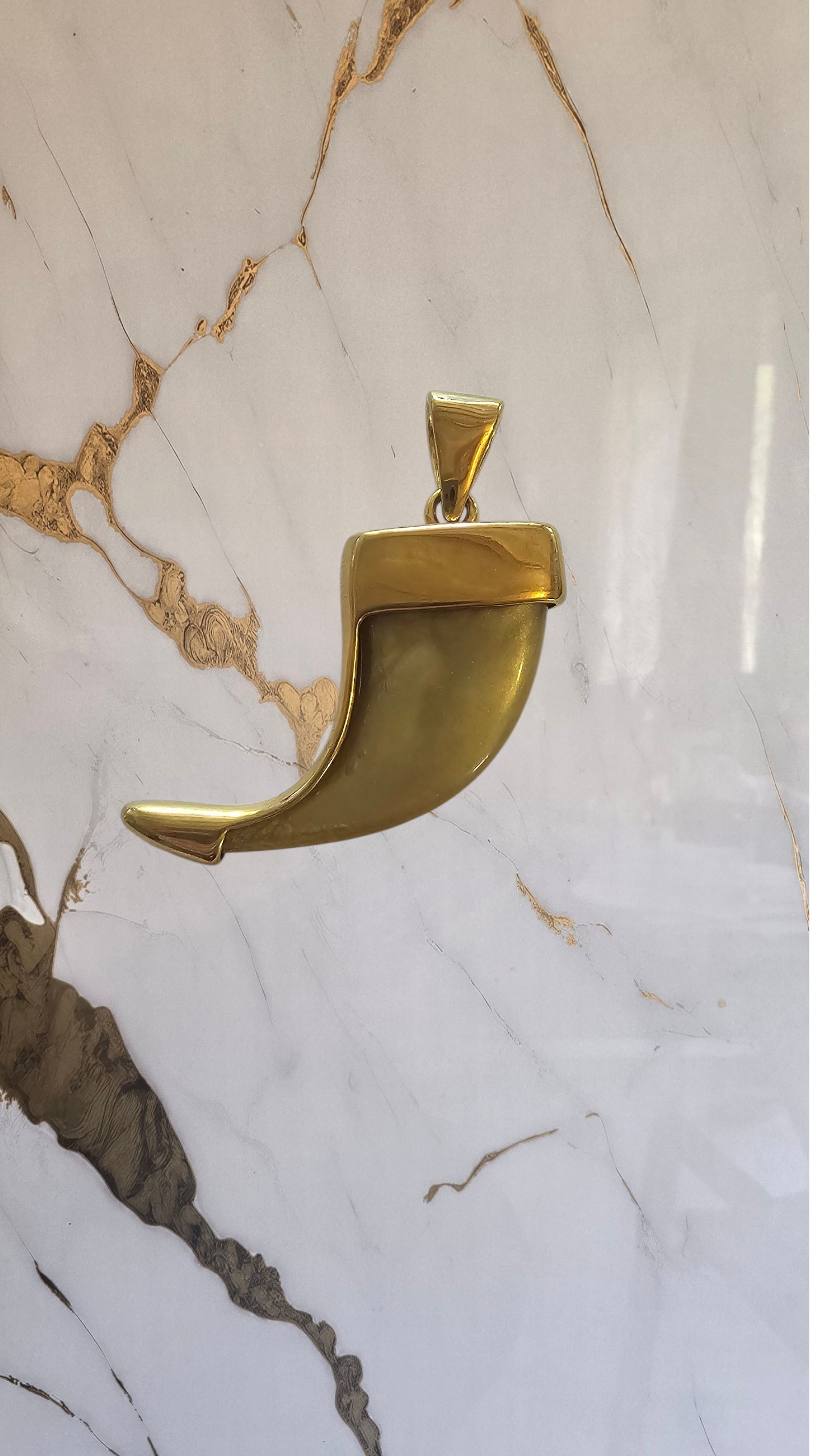 ensemble collier et  pendentif griffe de lion