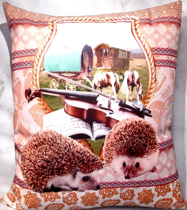 Coussin-Hérisson
